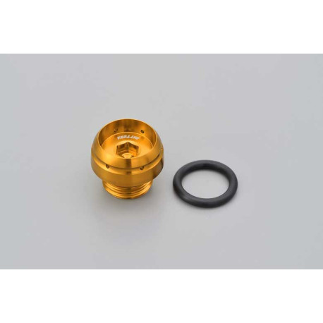 BOUCHON CARTER HUILE BULLET M20XP2.5 OR