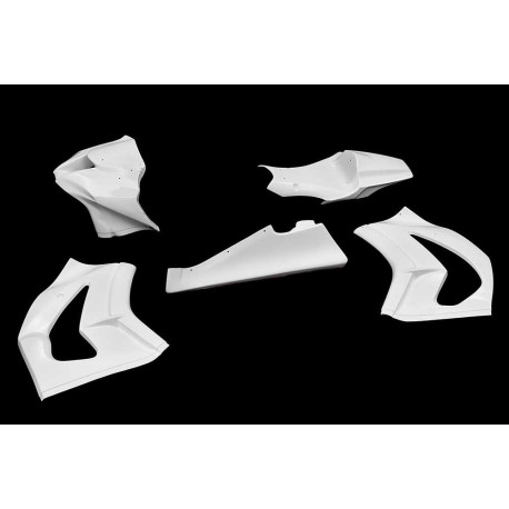 CARÉNAGE COMPLET AVIO FIBRE CARBONIN KAWASAKI ZX10R 2011/2015