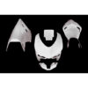 CARÉNAGE COMPLET CARBONE CARBONIN DUCATI 848/1098/1198 RACING