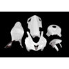 CARÉNAGE COMPLET CARBONE CARBONIN HONDA CBR 600 2007/2012