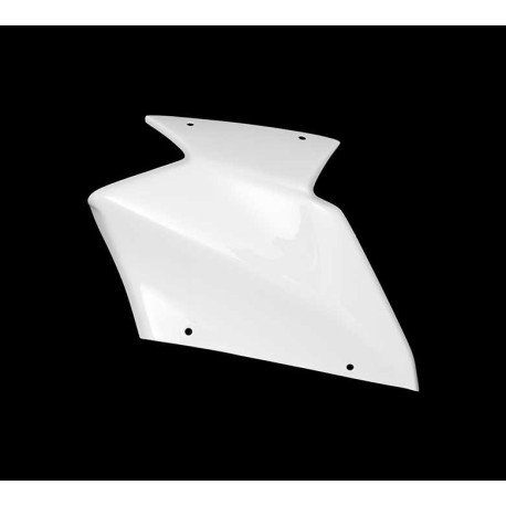 COUVERCLE FLANC GAUCHE CARBONIN