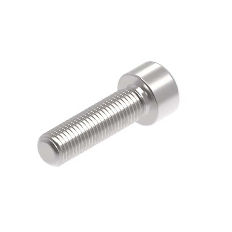 Evotech M10 x 35 x 1.25mm Vis  - 316 S/S