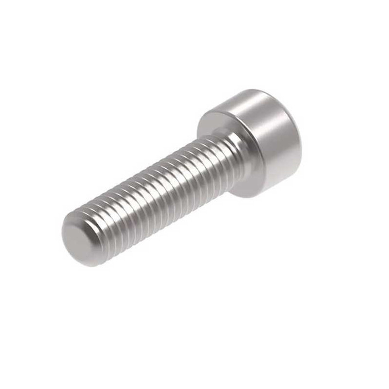 Evotech M10 x 35 x 1.5mm Vis  - 316 S/S