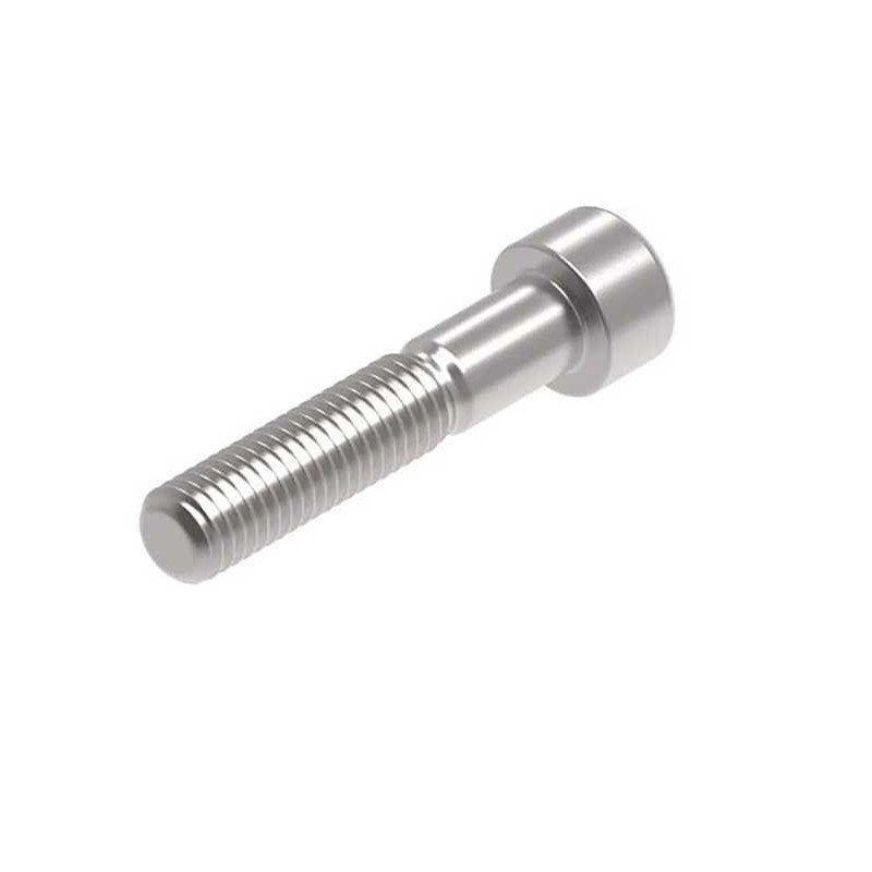 Evotech M10 x 50 x 1.5mm Vis  - 316 S/S