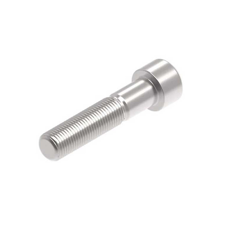 Evotech M12 x 55 x 1.25mm Vis  - 316 S/S