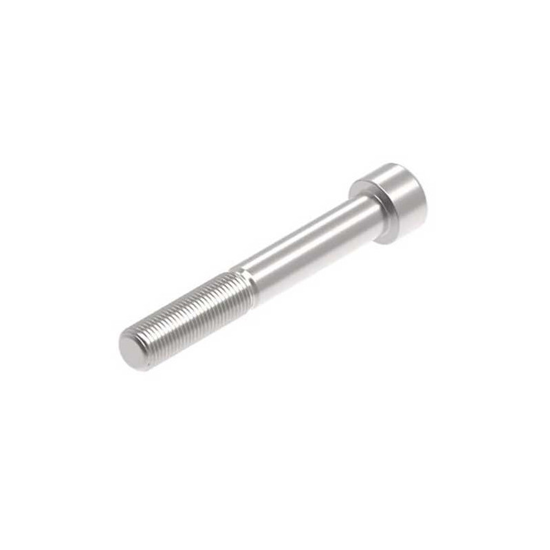 Evotech M12 x 85 x 1.25mm Vis  - 316 S/S