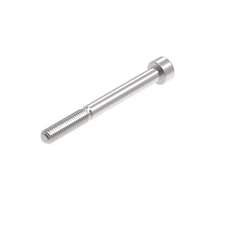 Evotech M8 x 80 x 1.25mm Vis  - 316 S/S