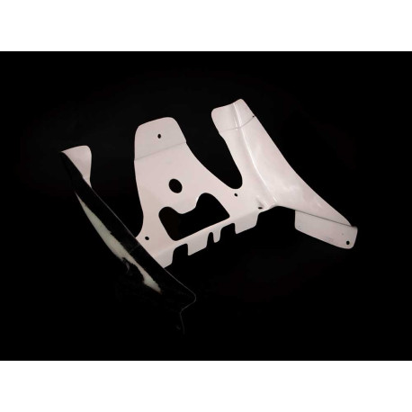 PROTECTION DE RADIATEUR AVIO FIBRE CARBONIN KAWASAKI NINJA 400