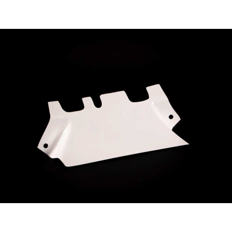 TUNNEL DE RADIATEUR AVIO FIBRE CARBONIN KAWASAKI NINJA 400