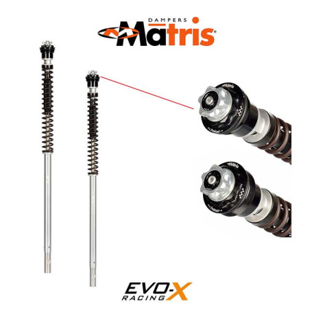 KIT CARTOUCHE MATRIS F20K TRIUMPH DAYTONA 660 2024/*