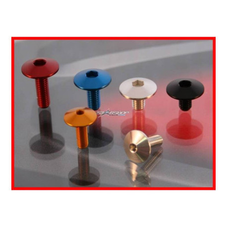 APRILIA RSV 1000 / R / FACTORY KIT VISSERIE BULLE EVOTECH