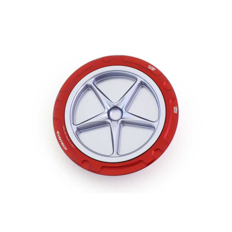 BMW S1000R / S1000RR TRAPPE A ESSENCE A VISSER