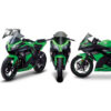 Bulle double courbure Kawasaki Ninja 250R et 300R
