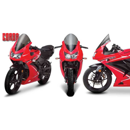 Bulle Kawasaki Ninja 250R