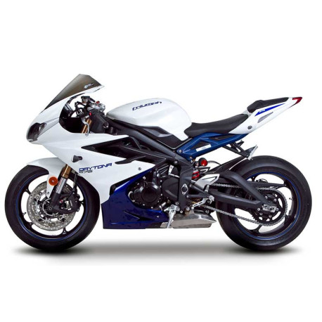 Bulle TRIUMPH DAYTONA 675 MARC 1