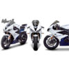 Bulle TRIUMPH DAYTONA 675 MARC 1