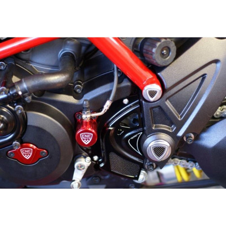 CARTER PIGNON DIAVEL