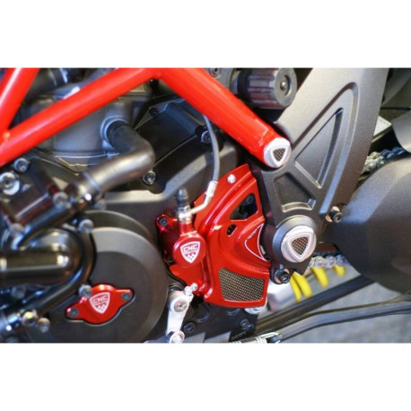 CARTER PIGNON DIAVEL