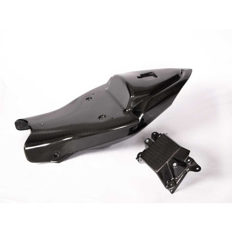 Coque arrière carbone (2 pcs)