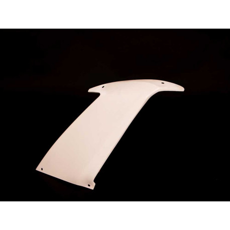 Couvre flanc droit Carbonin