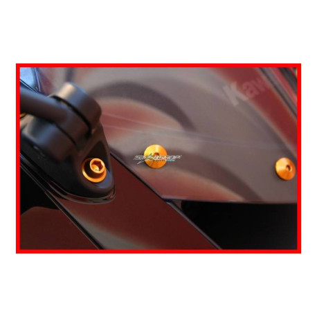 DUCATI MONSTER 1000 KIT VISSERIE BULLE EVOTECH