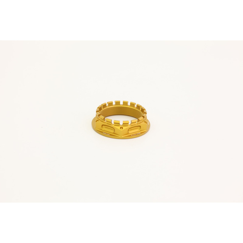 TRIUMPH SPEED TRIPLE 1200 ECROU DE PORTE COURONNE / ROUE ARRIERE EVOTECH