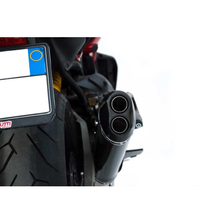 Echappement carbone  Double sortie Zard