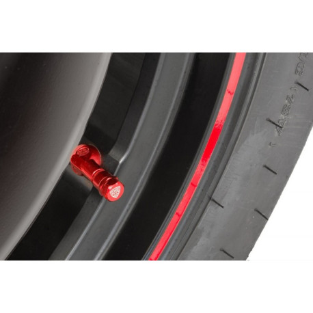 KIT 2 BOUCHONS VALVES DE ROUES