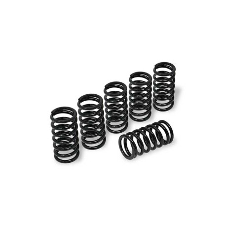 KIT RESSORT EMBRAYAGE H40.5 MV AGUSTA