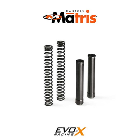 KIT RESSORTS MATRIS FKS TRIUMPH TRIUMPH TIGER SPORT 800 (LN20) 25/-