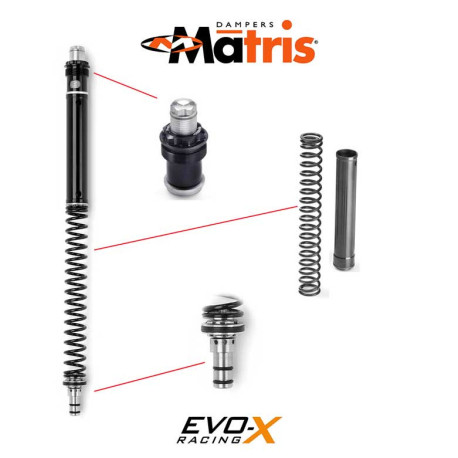 KIT RESSORTS MATRIS FSE-I HARLEY DAVIDSON H.D. TOURING / FLHR 107 ROAD KING 17/2