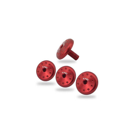 KIT VIS CACHE RADIATEUR DUCATI MULTISTRADA V4