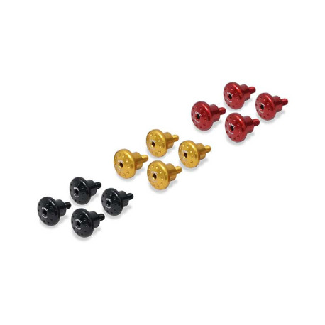 KIT VISSERIE BULLE DUCATI MULTISTRADA