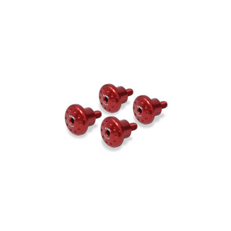 KIT VISSERIE BULLE DUCATI MULTISTRADA