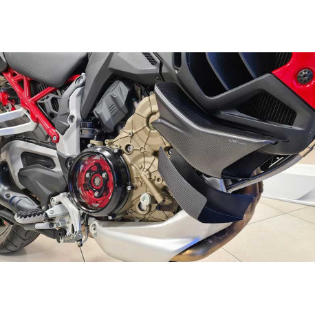 PAIRE AILERONS CARBONE MULTISTRADA V4