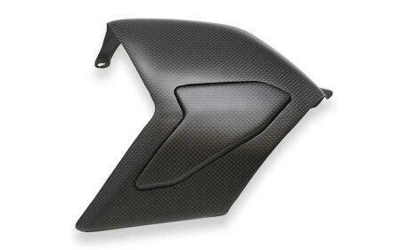 PROTECTION BRAS OSCILLANT CARBONE CNC RACING PANIGALE V4