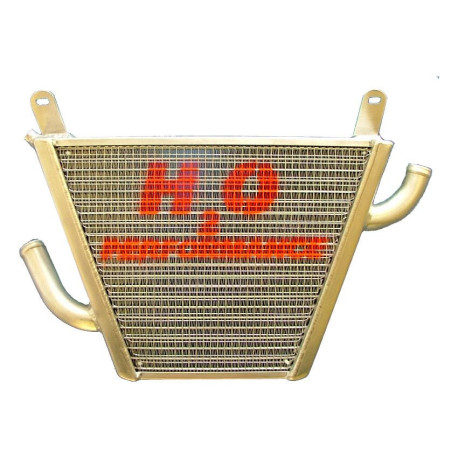 Radiateur d'eau additionnel ?TROFEO? HORNET 600