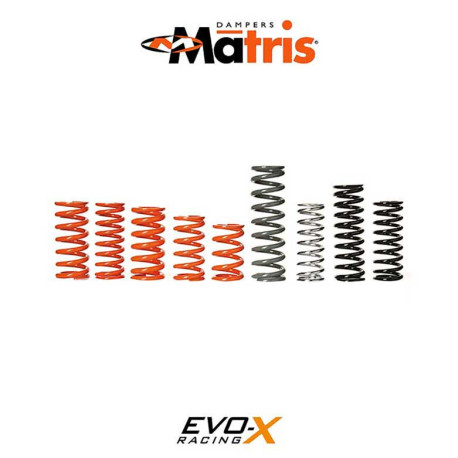 RESSORT MONOSHOCK L220