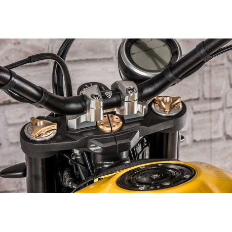 RISER COMPLET AVEC SUPPORT COMPTEUR DUCATI SCRAMBLER