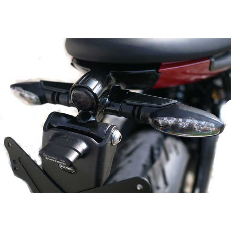 Support de plaque triumph Trident 660 2021/*