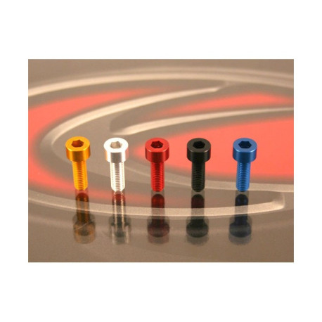 VIS ERGAL TCEI M4X10