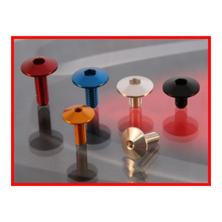 YAMAHA FZ6 KIT VISSERIE BULLE EVOTECH