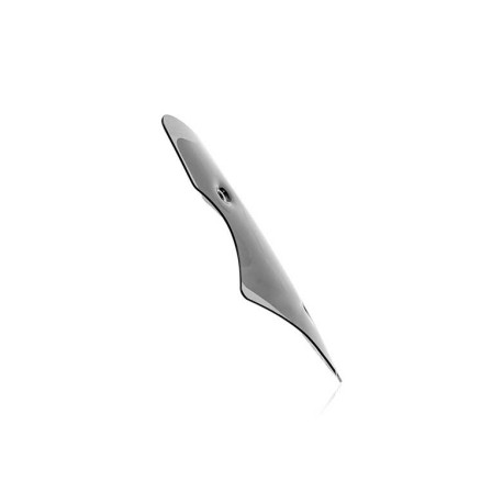 BULLE FUME MULTISTRADA V4 2025+ CNC RACING