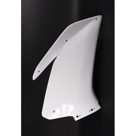 CARÉNAGE COMPLET AVIO FIBRE CARBONIN APRILIA RSV4 2015/*