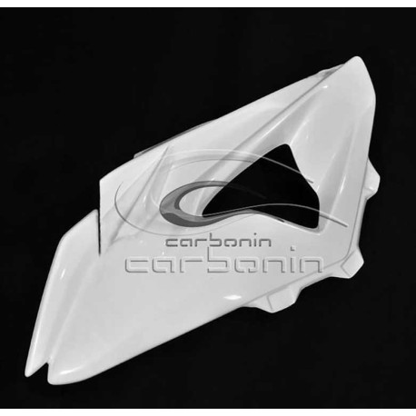 CARÉNAGE COMPLET AVIO FIBRE CARBONIN BMW S1000RR 2010/2014 ECHAPPEMENT RACING