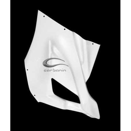 CARÉNAGE COMPLET AVIO FIBRE CARBONIN BMW S1000RR 2019/* MONTAGE AVEC BÉQUILLE LA