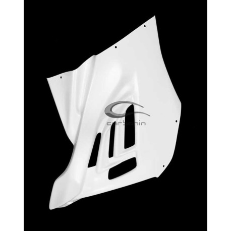 CARÉNAGE COMPLET AVIO FIBRE CARBONIN BMW S1000RR 2019/* MONTAGE AVEC BÉQUILLE LA