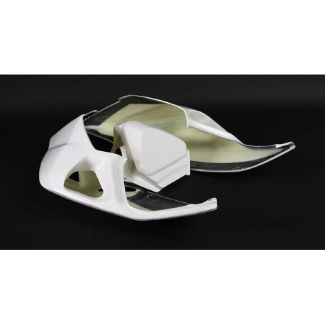 CARÉNAGE COMPLET AVIO FIBRE CARBONIN DUCATI PANIGALE 899/1199