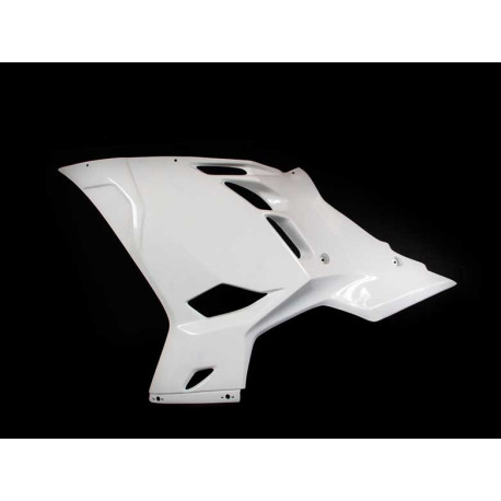 CARÉNAGE COMPLET AVIO FIBRE CARBONIN KAWASAKI NINJA 400 2018/*