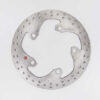 DISQUE DE FREIN  ARRIERE  ROUTE R-FLO BRAKING